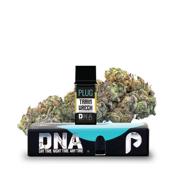 VAPE - 1g PLUG™ DNA: Train Wreck